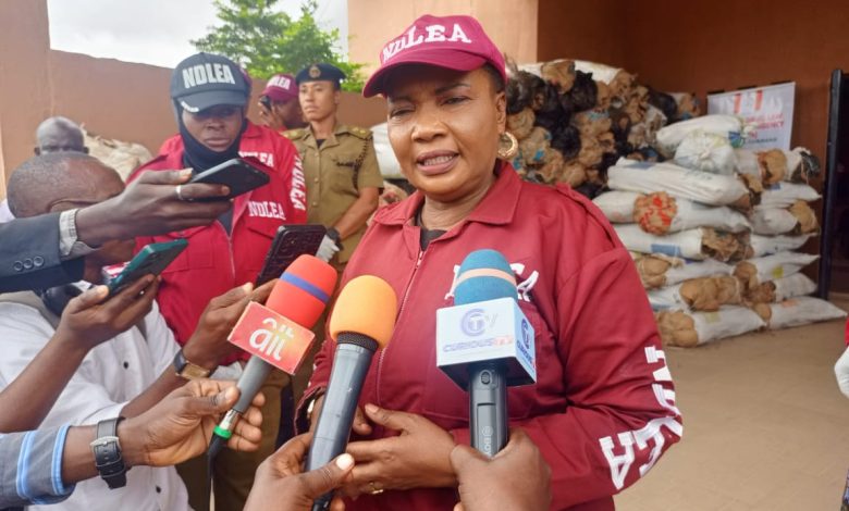 NDLEA seizes multi-million naira Cannabis in Kwara, arrests four suspects