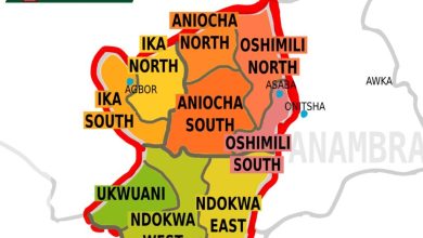 Anioma Statehood: Bridging history, linguistics, and geo-politics, By Abigail Ogwezzy-Ndisika