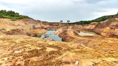 Nigerian police detain Chinese national over illegal mining