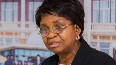 What Nigerians need to know about GMO foods – NAFDAC DG