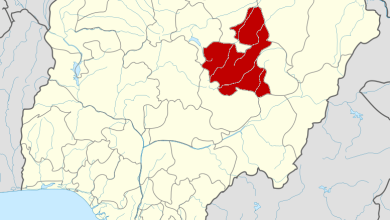 Police battle bandits in Bauchi, rescue two hostages – Official