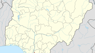 APC sweeps local elections in Rivers