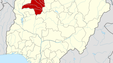 Zamfara: Terror kingpin demands gold protection levy from communities