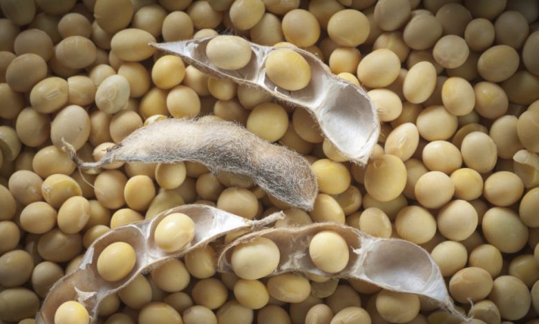 American Soybean Association expands partnership in Nigeria