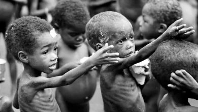 51.9% of Kano children stunted due to malnutrition – UNICEF
