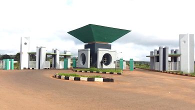 Ex-commissioner emerges vice-chancellor of Nigerian university