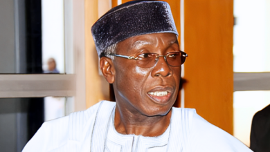Former Agriculture Minister Audu Ogbeh Dies At 78