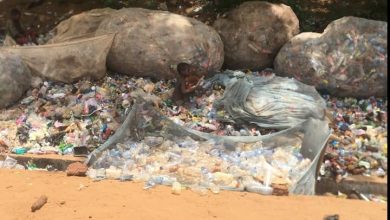 Poverty, hunger driving Sokoto children out of school
