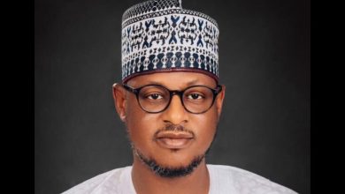 Governor Radda approves appointment of 15 new SSAs, GM
