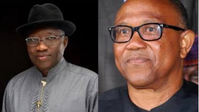 PDP considering Peter Obi, Jonathan for 2027 presidential ticket – Governor