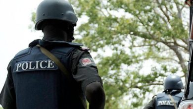 Police arrest suspected transformer vandals