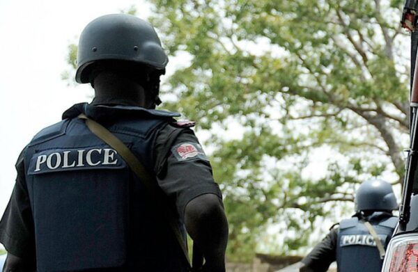 Police arrest suspected transformer vandals Police arrest suspected transformer vandals