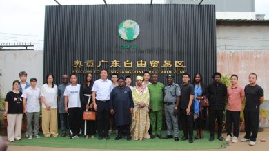 FG Applauds Ogun FTZ Success, Plans Replicating Model Across Country