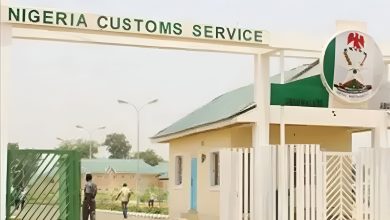 Nigeria customs intercepts N700 million illicit drugs in Katsina