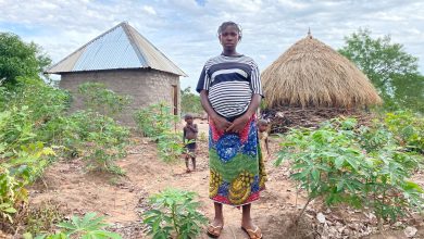 Fields of Fear: Militia attacks in Benue force women off farmlands