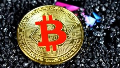 What Bitcoin price teaches us about human nature and risk