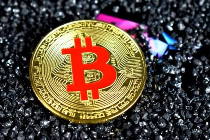 What Bitcoin price teaches us about human nature and risk What Bitcoin price teaches us about human nature and risk