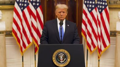 Judge rules against Trump administration’s .6bn funding cut to Harvard
