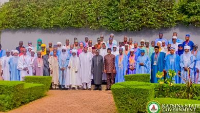 Security Challenges: Katsina governor, elders meet Tinubu, secure troop reinforcement pledge