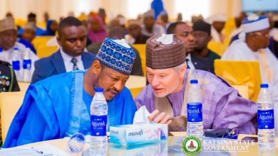 Governor Radda launches €5m EU peace project for Katsina