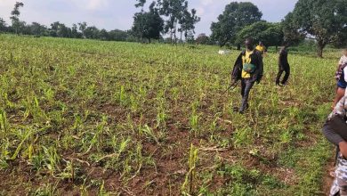 Benue traditional ruler demands withdrawal of soldiers over alleged complicity in herders’ attacks