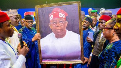Photos: Ex-Legislators Endorse Tinubu For Second Term At Abeokuta Summit