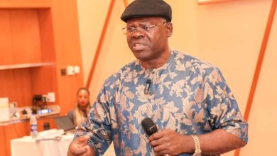 Borrowing: Former lawmaker warns National Assembly against ‘rubber-stamp’ role
