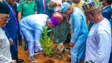 Gov Sule launches tree planting, clean environment campaign in Karu
