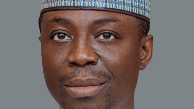 Nigeria and Brazil: A partnership of equals in a changing world, By Abdulkabir Adisa