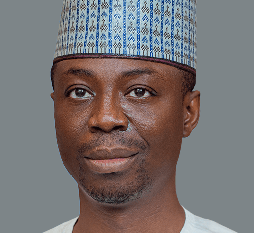 Nigeria and Brazil: A partnership of equals in a changing world, By Abdulkabir Adisa Nigeria and Brazil: A partnership of equals in a changing world, By Abdulkabir Adisa