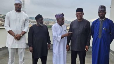 Peter Obi holds secret meetings with Obasanjo, Ladoja ahead 2027 elections
