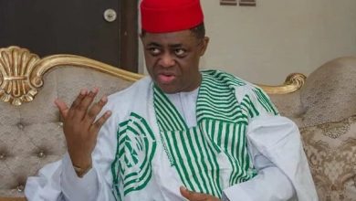 Femi Fani-Kayode slams fake news on NFF chairmanship