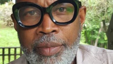 The Israeli-Palestinian conflict: Two possible pathways to the two-state solution, By Femi Mimiko