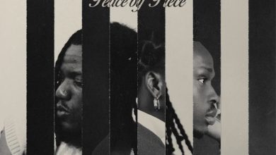 Music Review: In ‘Peace by Piece’ EP, Fireboy, Pheelz find quiet magic but risk monotony