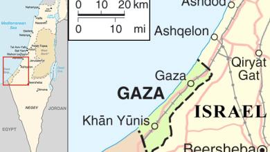 China backs US peace plan for Gaza, calls for acceptance