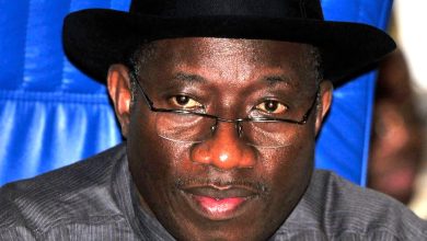 2027: Presidency attacks Jonathan, says he’s welcome to challenge Tinubu