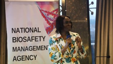 NBMA reaffirms GMO safety, vows to crack down on violators