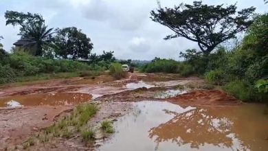 Senator raises alarm over impassable Anambra federal road, demands urgent govt. action