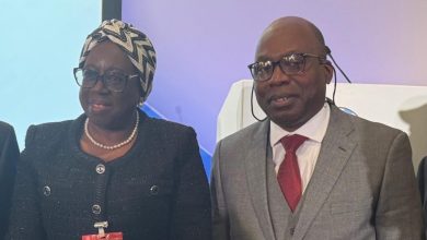 Tackle cross-border crimes now, FIRS chairperson tells global leaders at UK summit