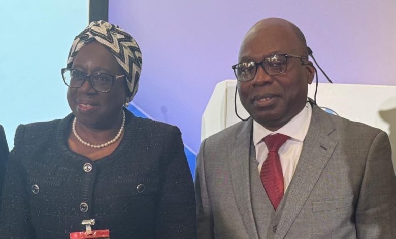 Tackle cross-border crimes now, FIRS chairperson tells global leaders at UK summit Tackle cross-border crimes now, FIRS chairperson tells global leaders at UK summit