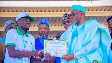Youth Empowerment: Jigawa trains 2,000 youth on date palm production