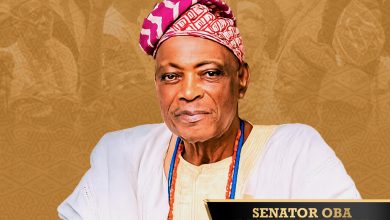 Goldberg toasts to tradition as Ibadan crowns the 44th Olubadan
