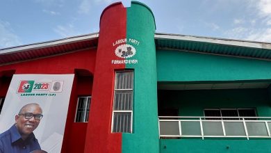 Labour Party senatorial candidate joins ADC