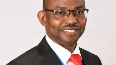 IFRS S1 & S2 sustainability financial disclosures: A guide (2), By Innocent Okwuosa