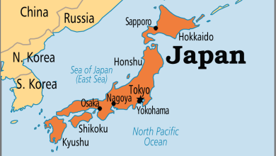 Japan scraps JICA ‘Africa Hometown’ agreement with Nigeria, other African countries
