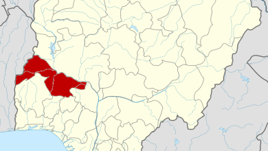 Bandits kill 12 forest guards in Kwara