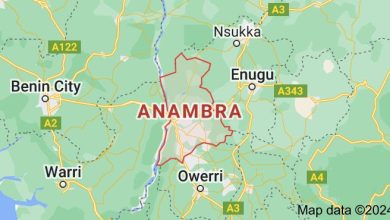 Man climbs electricity mast in attempted suicide