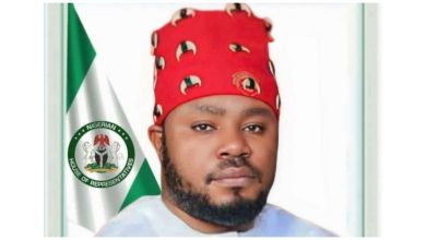 Alleged Plot: Why we’ll continue to defend Speaker Tajudeen’s mandate – Reps deputy spokesperson