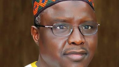 Addressing misconceptions: My science-based response to GMO debate, By Mohammad Faguji Ishiyaku
