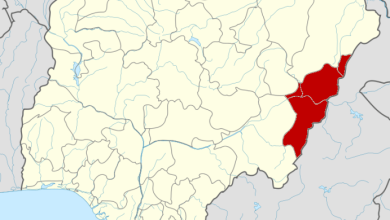Strange flesh-eating disease reported in Adamawa